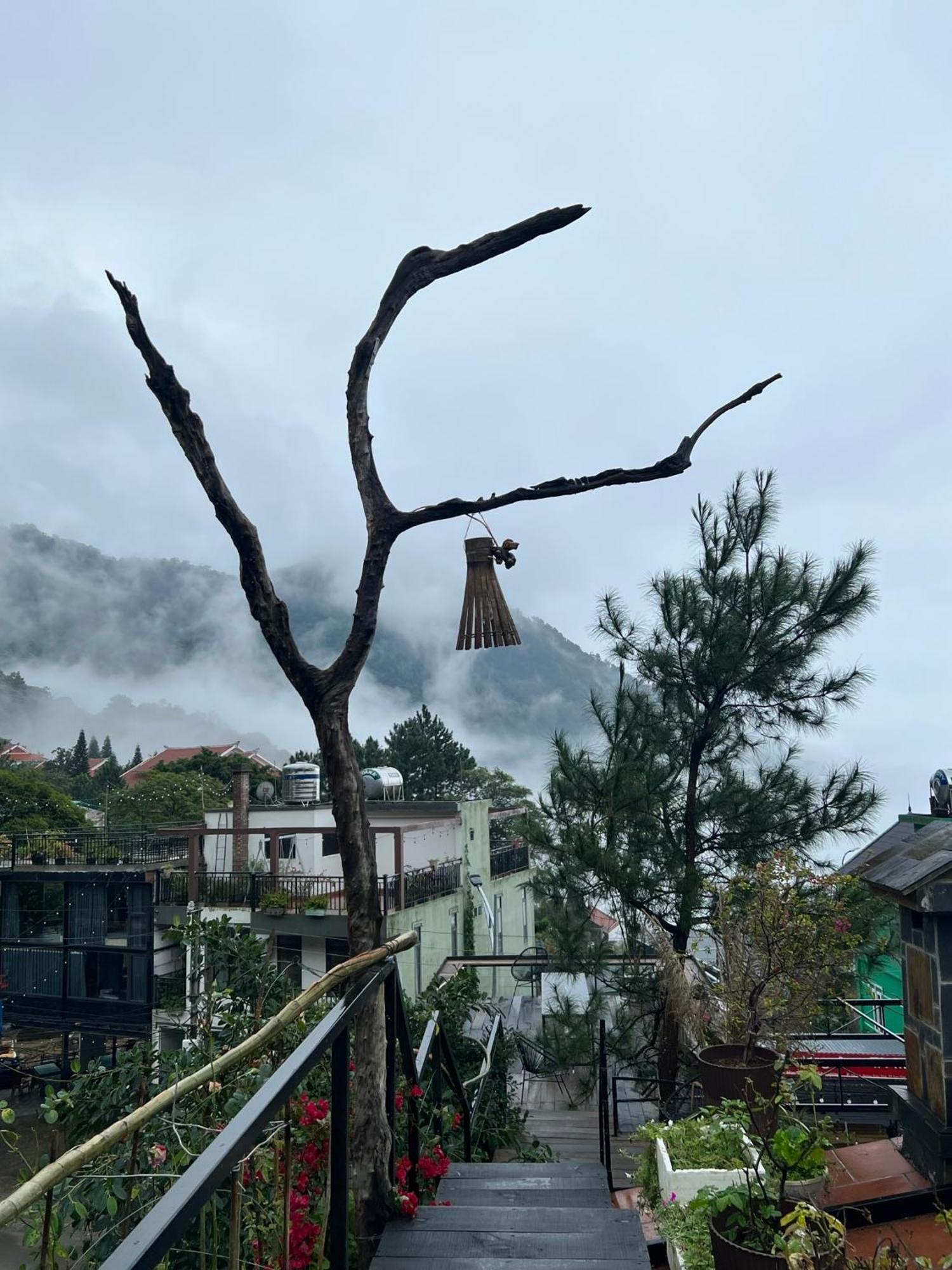 Bach Xanh House. Triangle Bungalow Tam Ðảo Buitenkant foto